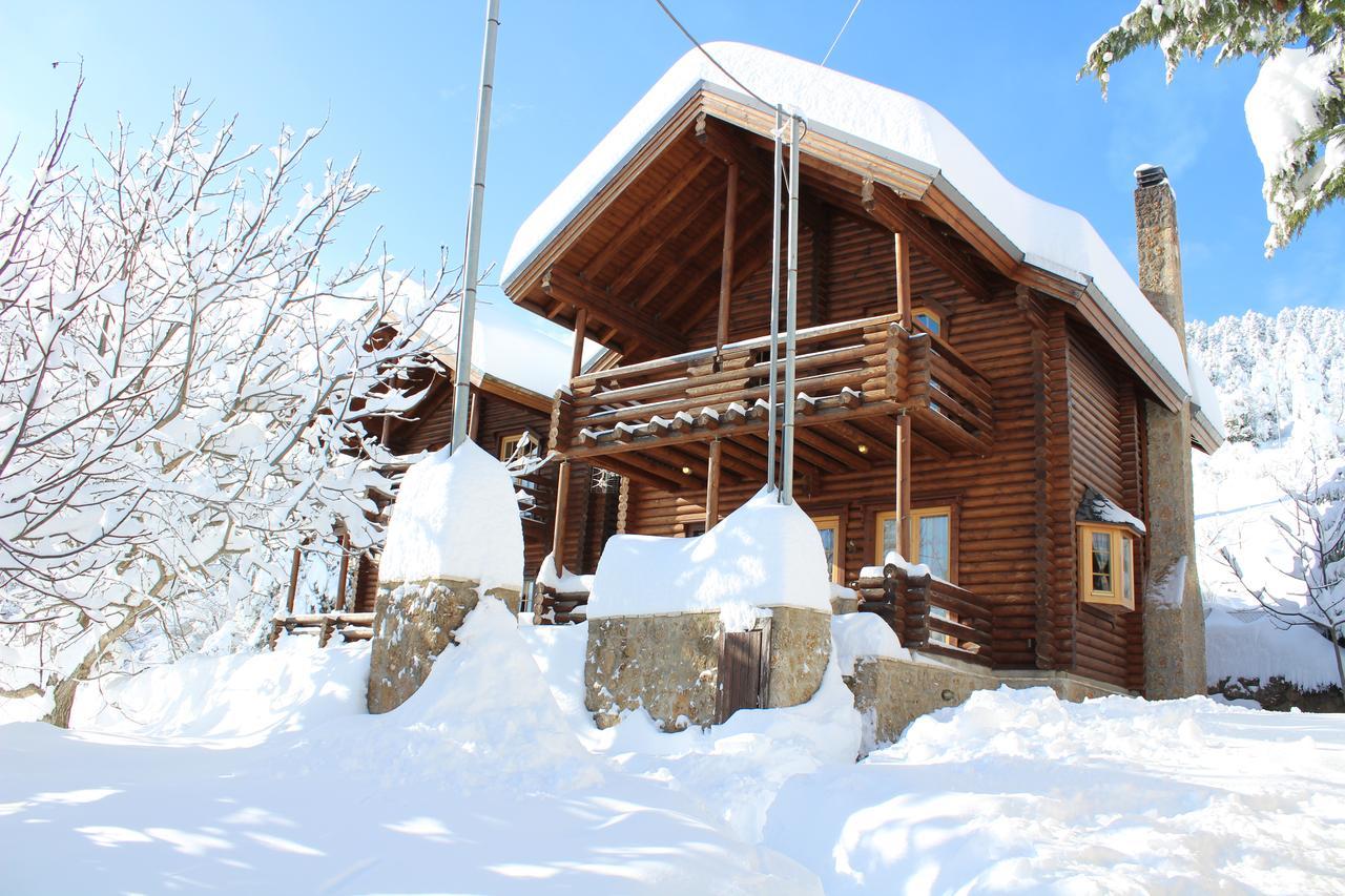 Paradise Chalet Ano Trikala Buitenkant foto